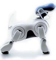 Aibo