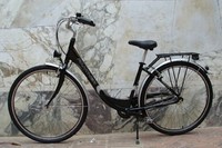 bicicampusweb