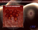 Les nanopartícules són estructures metàl·liques de solament una milionèsima part d’un metre,