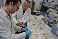 Els investigadors analitzen les mostres de catifes al laboratori
