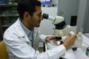 L'investigador del grup MACROM, Francisco Acosta-Reyes observa en un microscopi una mostra de l'estructura cristalina del fàrmac CD27