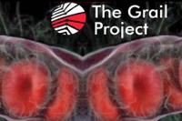 L'objectiu del projecte The Grail és crear bastides bioactives i bioabsorbilbles que regerenrin les artèries.