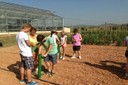 Sembra de mongetes a les instal.lacions de l’Agròpolis a Viladecans.