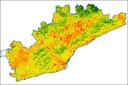 Imatge de l’Illa de calor, durant el dia, a la Regió Metropolitana de Barcelona. En color vermell, les zones més calentes