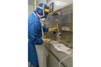 L’investigador Moisés Garín, a la Sala Blanca, realitzant un procés de tractament de l’oblia abans de ser introduïda al forn