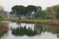 Imatge d'una secccó de l'estany Olla del rei i del seu entorn