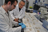 Researchers with samples of carpets.