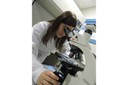Doctoral student Eva Benzal observes iron-oxidising bacteria through an optical microscope.