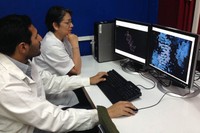 Lourdes Campos and Francisco Acosta-Reyes, researchers from the UPC research group Crystallography, Structure and Function of Biological Macromolecules (MACROM).Researcher Lourdes Campos with a member of her team, Francisco Acosta-Reyes, observing 3D images of the structure of CD27 and its behaviour in the DNA on two computer screens.