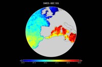 Mapa de salinidad del mar Mediterràneo, elaborado por el BEC