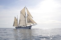 El barco 'Fleur de passion'.