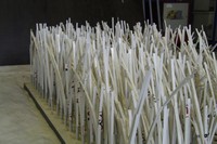 Los investigadores del Laboratorio de Ingeniería Marítima (LIM) de la UPC han analizado la posibilidad de criar bancos de plantas a primera línea de costa para frenar el embate del gran oleaje.