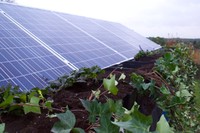 Humedal híbrido artificial que se construyó en el marco de un proyecto precedente a Ecorkwaste.