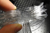 El ICFO ha diseñado un dispositivo para mejorar la detección precoz del cáncer