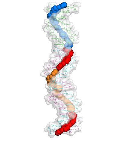 imagen en 3d del complejo de adn y el fármaco cd27